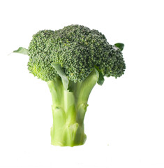 fresh green broccoli isolated on white background