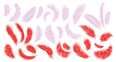 Fototapeta na wymiar Pink and red feathers. Realistic flamingo fluffy plumage, parrot and exotic bird feather isolated collection. Bright decorative elements in different angles, vector isolated on white background set