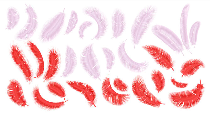 Pink and red feathers. Realistic flamingo fluffy plumage, parrot and exotic bird feather isolated collection. Bright decorative elements in different angles, vector isolated on white background set