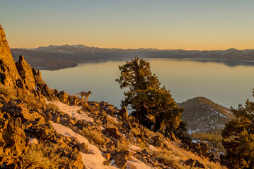 the amazing lake tahoe in california