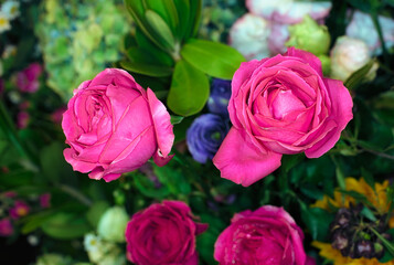 Close-up of a mixed bouquet of roses,summer flowers background.