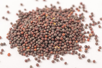 dried turnip seed, Brassica rapa seeds