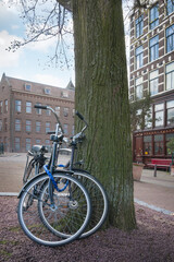 A pair of bicycles under a tree on Prinsengracht street. Amsterdam. Netherlands - 407905466