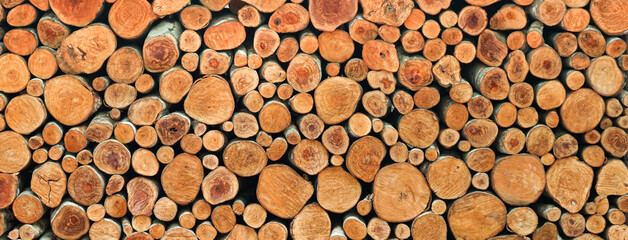 wall of wood stump background 