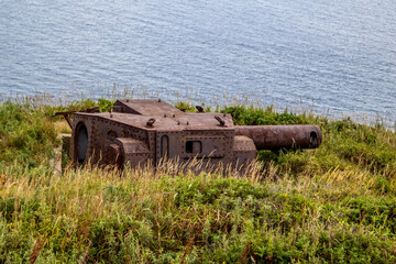 Rusty old defensive weapons  on the coast