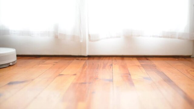 Robot vacuum cleaner and mop cleaning living room floor closeup. Modern smart device for everyday housekeeping.
