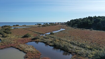 Naklejka premium vue aérienne de l'Etang de Bages près de Narbonne dans l'Aude (France)