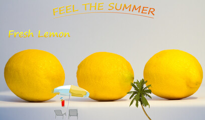 Drei gelbe frische Zitronen hinter Palmen und Sonnenschirmgrafik  vermitteln Sommergef&uuml;hl