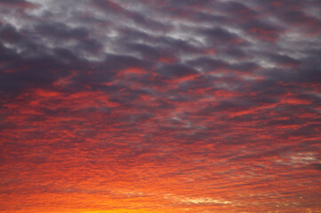 Beautiful Red Clouds 