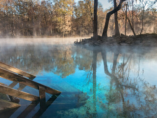 Obraz premium Early Winter Morning at Ginnie Springs on the Santa Fe River, Florida 