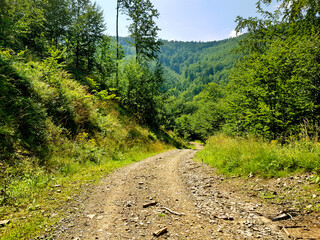 mountain trail road