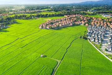 Land or landscape of green field in aerial view. Include agriculture farm, house building, village....