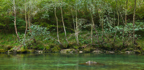 Río Cares, tramo medio en Niserias, Peñamellera Alta, Asturias