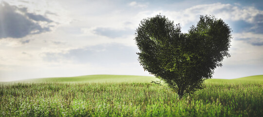 Heart shaped tree on green field. Love, Valentine's day, eco environment.