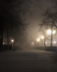 Street in city shrouded in fog and lighted by street lights. 
In the evening, when the fog falls it...