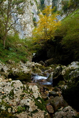 Naklejka na ściany i meble Río Casaño, afluente del Cares,Puente Pompedro, Concejo de Cabrales, Asturias