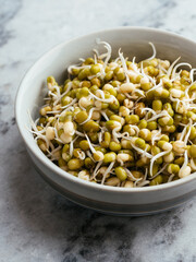 Small bowl with sprouted mung beans.