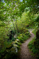 Senda en la Garganta del Río Casaño, Puente Pompedro, Concejo de Cabrales, Asturias