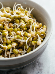 Small bowl with sprouted mung beans.