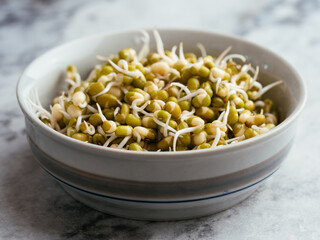 Small bowl with sprouted mung beans.