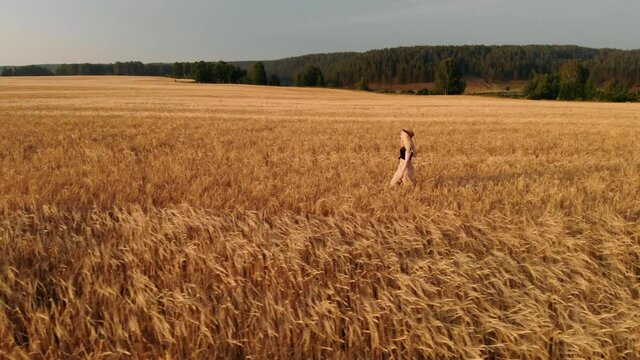 Beautiful young blonde girl in hat, walking in wheat field on sunset. Carefree young woman in slow motion video walking on field wheat enjoying freedom and calmness on rural nature during vacations