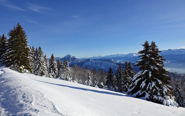 Randonn&eacute;e raquettes en Janvier 2021 dans le massif du Vercors avec une neige et un temps exceptionnels