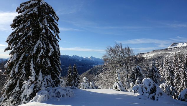 Randonn&eacute;e raquettes en Janvier 2021 dans le massif du Vercors avec une neige et un temps exceptionnels