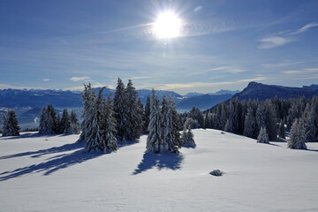 Randonnée raquettes en Janvier 2021 dans le massif du Vercors avec une neige et un temps...