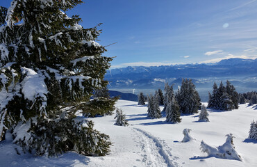 Randonnée raquettes en Janvier 2021 dans le massif du Vercors avec une neige et un temps...