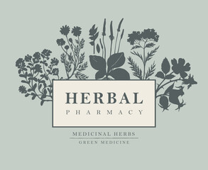 Vector banner or label with inscription Herbal pharmacy. Hand-drawn illustration with silhouettes of medicinal herbs on a grey background. Decorative frame with herbal flowers in retro style - obrazy, fototapety, plakaty