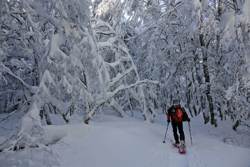 Randonnée raquettes en Janvier 2021 dans le massif du Vercors avec une neige et un temps...