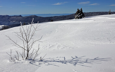 Randonnée raquettes en Janvier 2021 dans le massif du Vercors avec une neige et un temps...