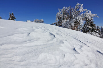 Obraz premium Randonnée raquettes en Janvier 2021 dans le massif du Vercors avec une neige et un temps exceptionnels
