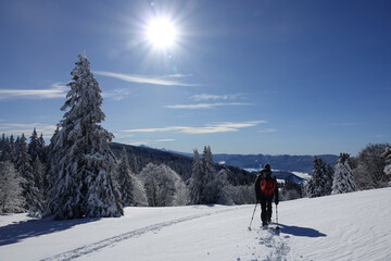 Randonnée raquettes en Janvier 2021 dans le massif du Vercors avec une neige et un temps...