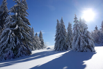 Randonnée raquettes en Janvier 2021 dans le massif du Vercors avec une neige et un temps exceptionnels