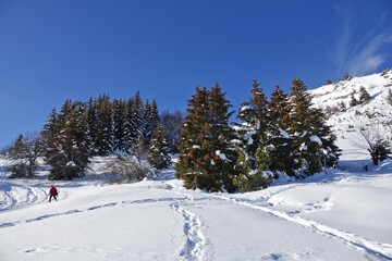 Randonnée raquettes en Janvier 2021 dans le massif du Vercors avec une neige et un temps...