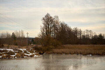 zimowe drzewa łąka  © Marcin Łazarczyk