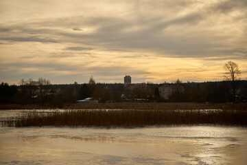 zimowe drzewa łąka 