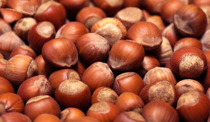Hazelnuts. Hazelnuts background. Hazelnuts close-up view