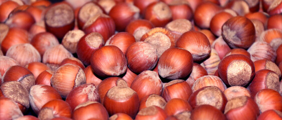 Hazelnuts. Hazelnuts background. Hazelnuts close-up view