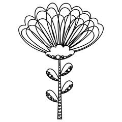 Black and white childish cute single stylized flower chamomile or chrysanthemum in Scandinavian style. Isolated outline cartoon floristic doodle. For coloring book, logotype, nursery decor. Vector.