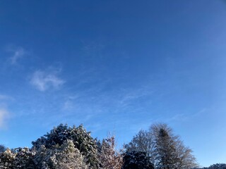 winter landscape with a blue sky
