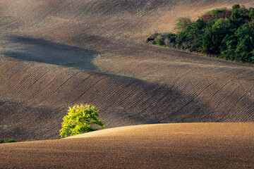 colours and shapes of fields in autumn