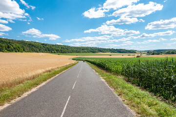 Empty road with a lone cyclist  on a sunny day with corn and mais fields on both sides, blue sky with some clouds, Sauvigny, Meuse valley, France