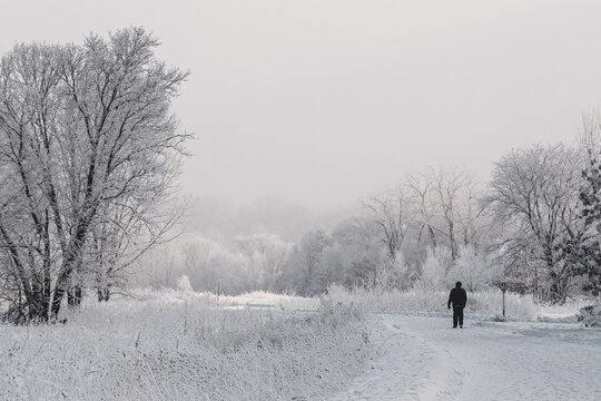 Bundled Up Person Walking Down A Snow Covered Bike Path Through A Frozen Meadow