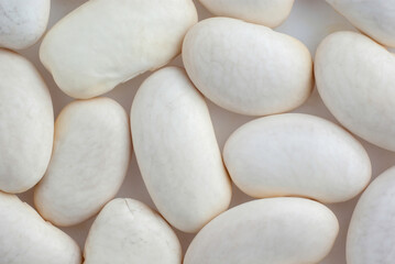 Fototapeta na wymiar Several dry white beans on white backround macro texture