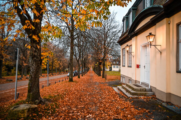 A straight pedestrian avenue covered with brown leaves and a baroque villa on the right. Two lamps shine on the facade of the house.