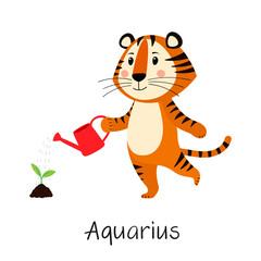 Zodiac sign Aquarius. Cute tiger waters plant from watering can. Concept of horoscope for 2022, year of tiger according to Chinese calendar. Vector stock flat hand-drawn illustration isolated on white