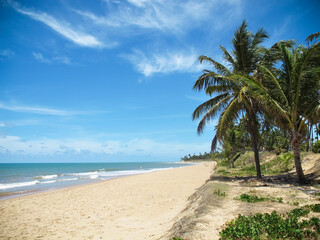 Vista panoramica di una costa tropicale con sabbia bianca e palme 