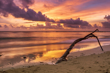 Tropical beach at sunset